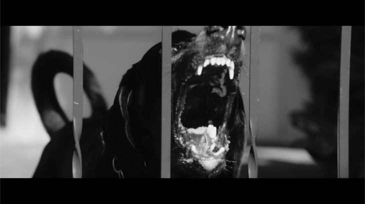 DOMANI_TV_frame (1).jpg