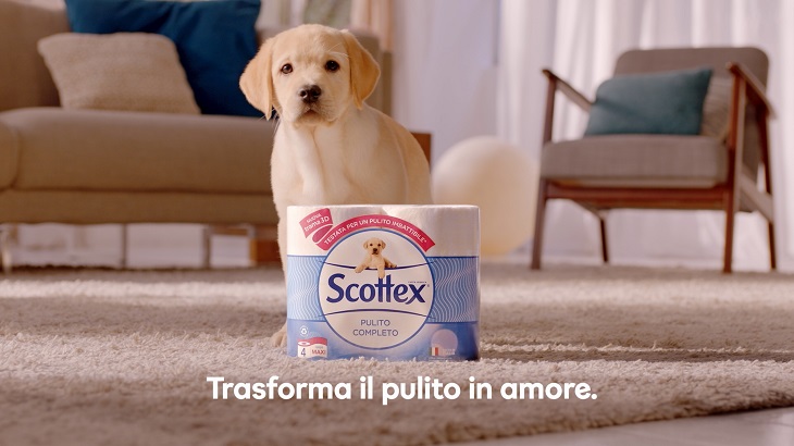 spot-scottex.jpg