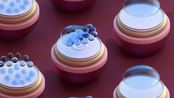 Un fotogramma da uno dei video di Dailies Total1