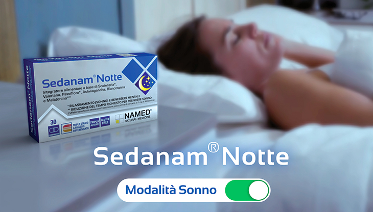 sedanam-spot-2021.jpg