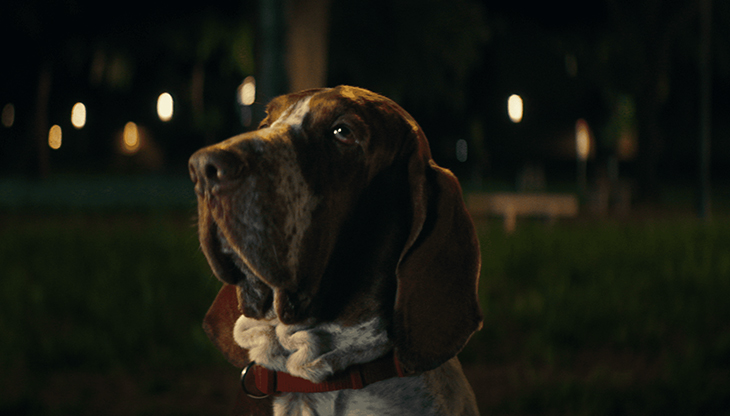 Spotify lancia un nuovo spot tv dedicato agli Europei di calcio