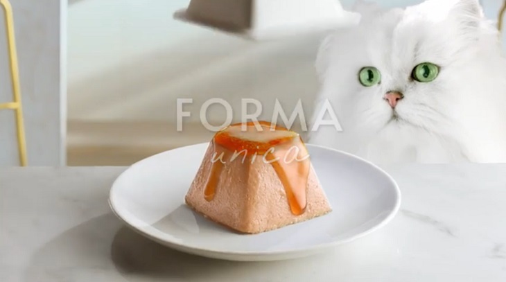 purina-gatto.jpg