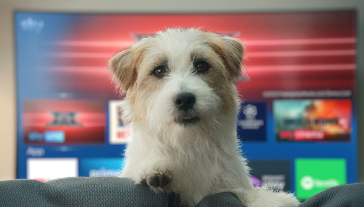 Un'immagine della nuova campagna Sky Q