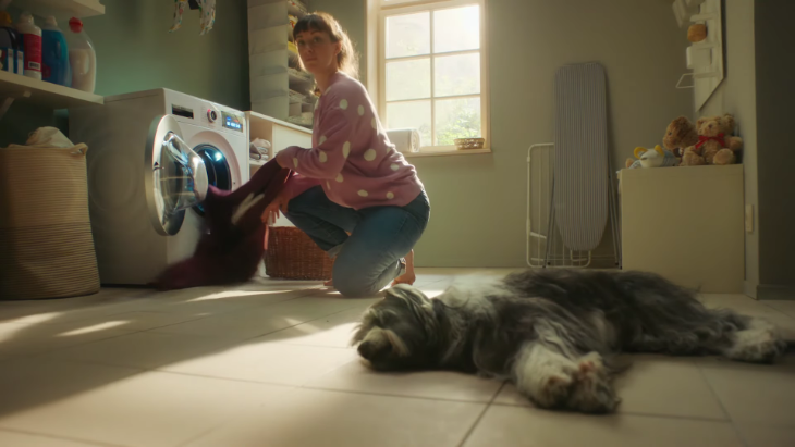 bosch-spot.png