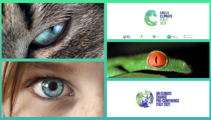 Alcune immagini della campagna "The world is Watching”