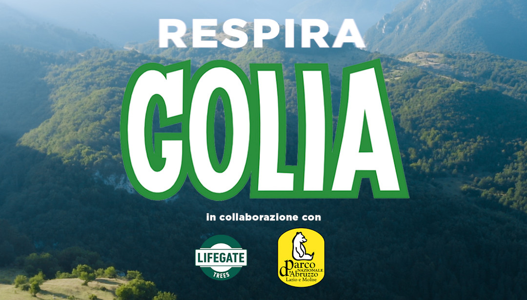 golia.jpg