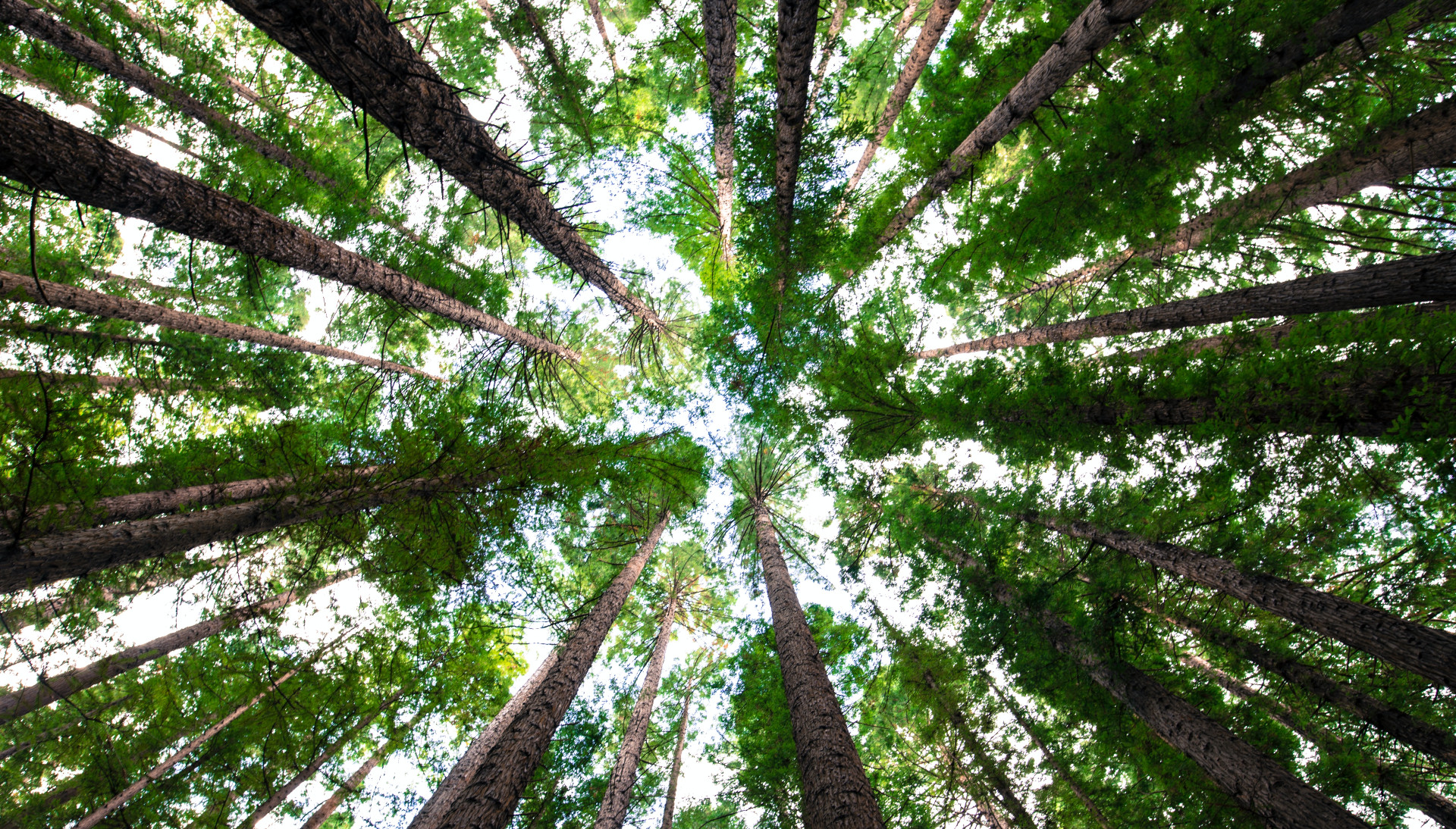 Photo by Arnaud Mesureur on Unsplash 