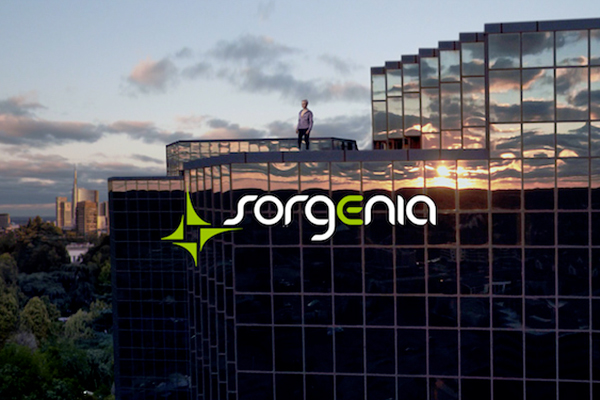 Sorgenia1.jpg