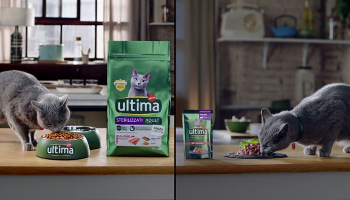 Un frame dello spot di Ultima Petfood dedicato ai gatti sterilizzati