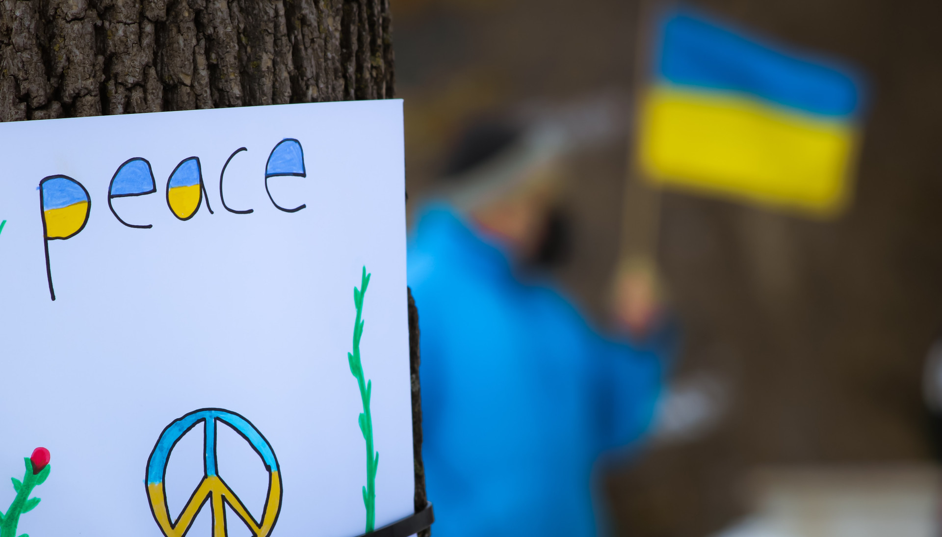 Photo by Kedar Gadge on Unsplash 