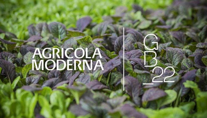 Agricola-Moderna-Gitto-Battaglia22.jpg