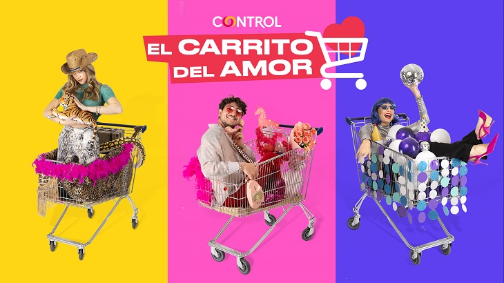 CONTROL_ElCarrito.jpg