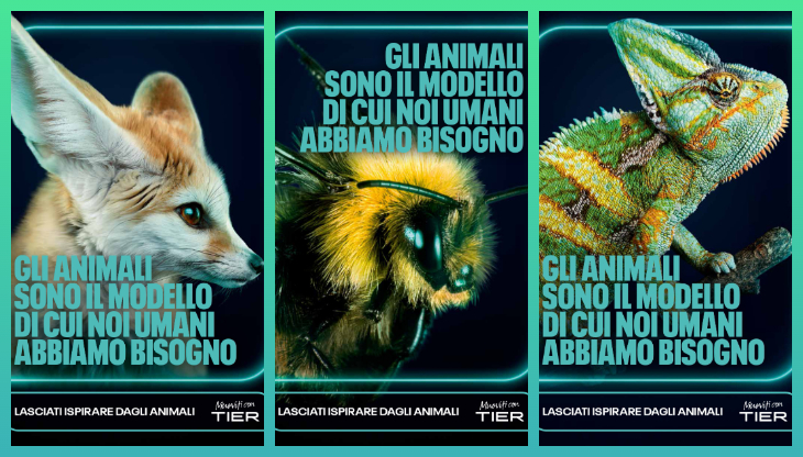 I soggetti della nuova campagna TIER