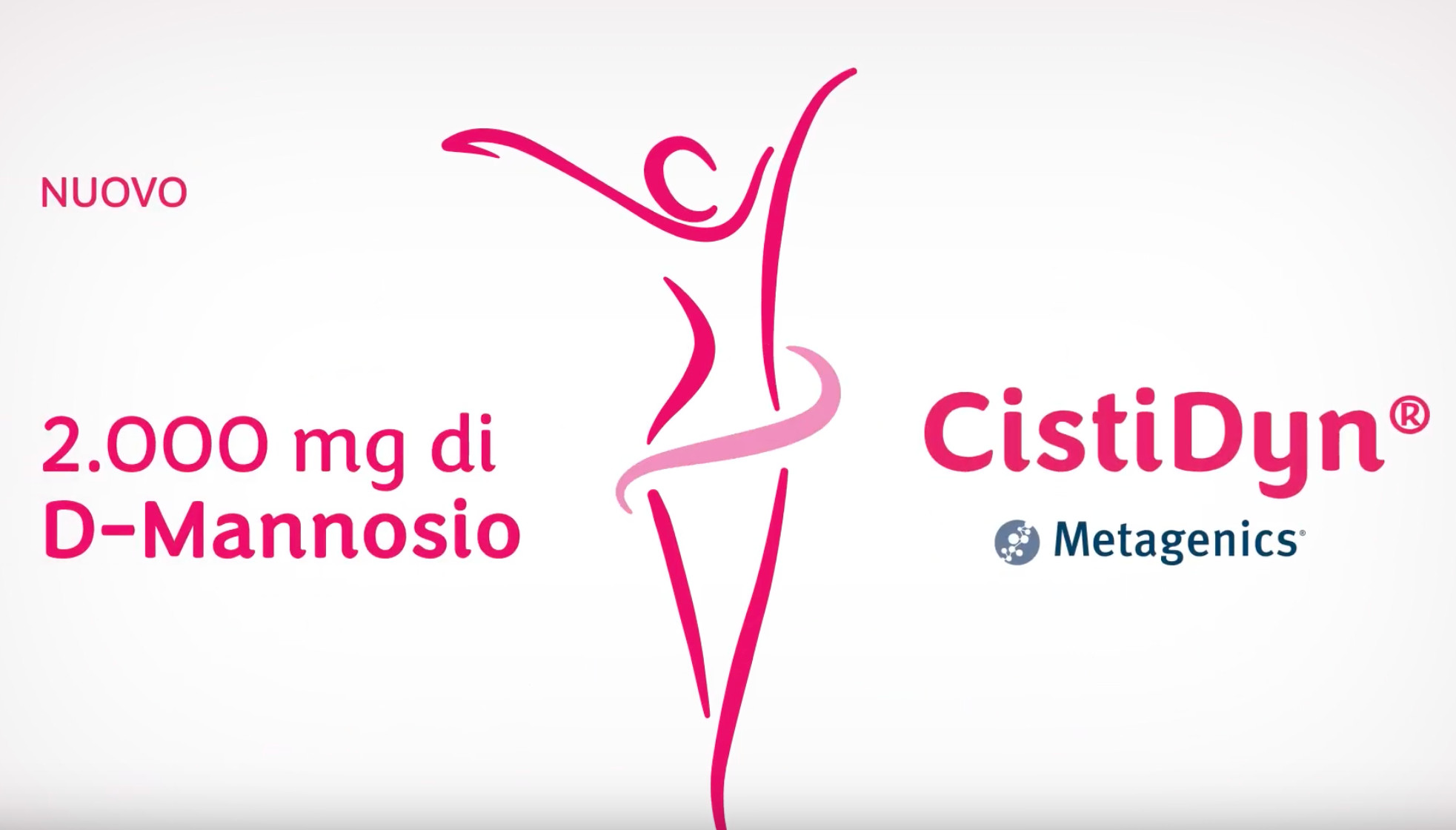 cistidyn.jpg