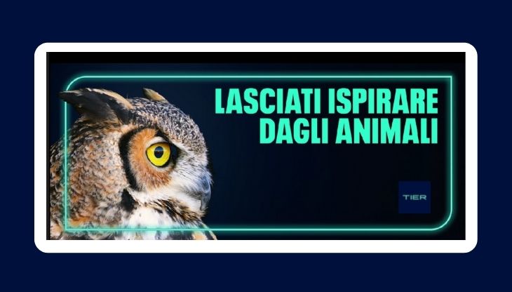 Edelman firma la campagna integrata di TIER per il mercato italiano.jpg