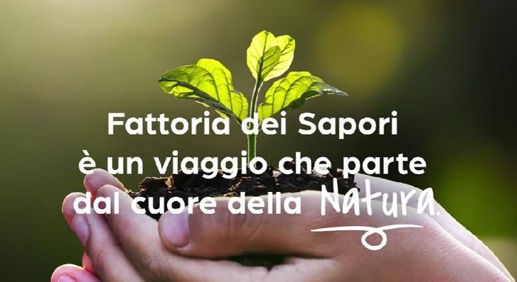 fattoria-dei-sapori.jpg