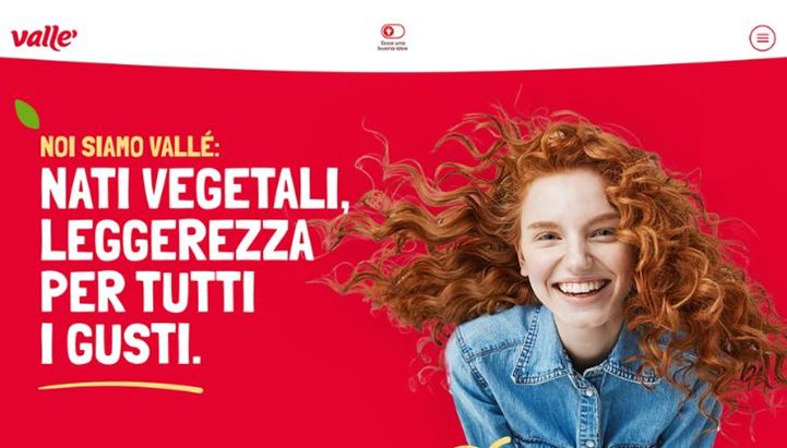 Un visual der sito internet Vallé
