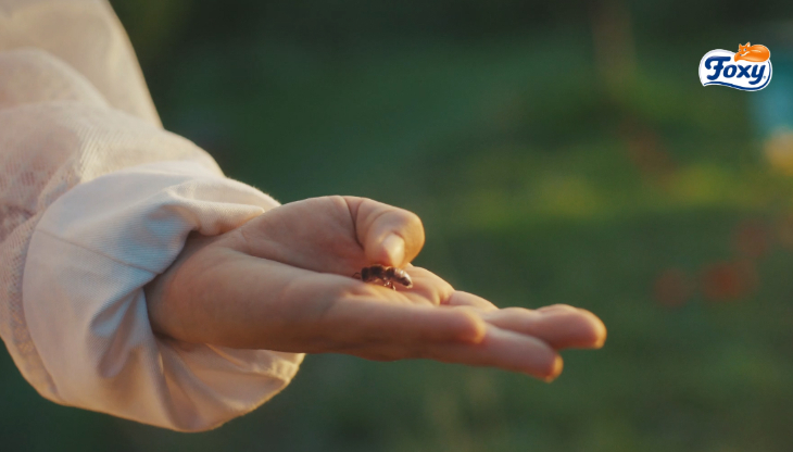 Foxy per la salvaguardia delle api. Havas porta in comunicazione la nuova linea love the bee 
