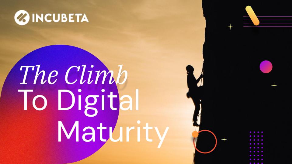 IAB_Workshop_DigitalMaturity (1).jpg