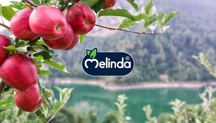 Melinda_Connexia.jpg