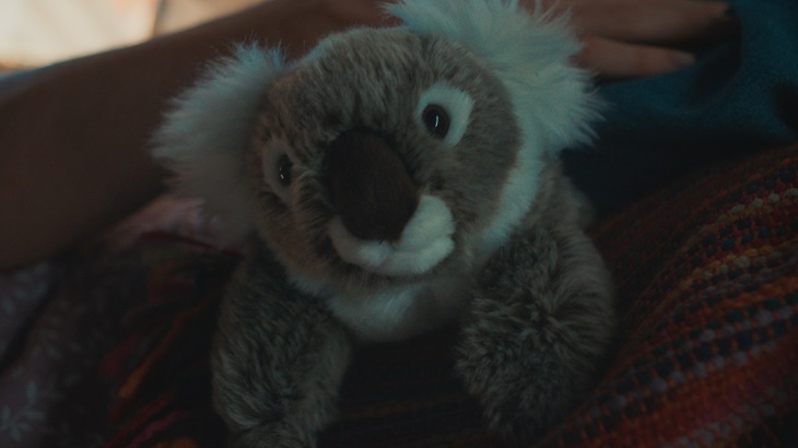 wwf-peluche.jpg
