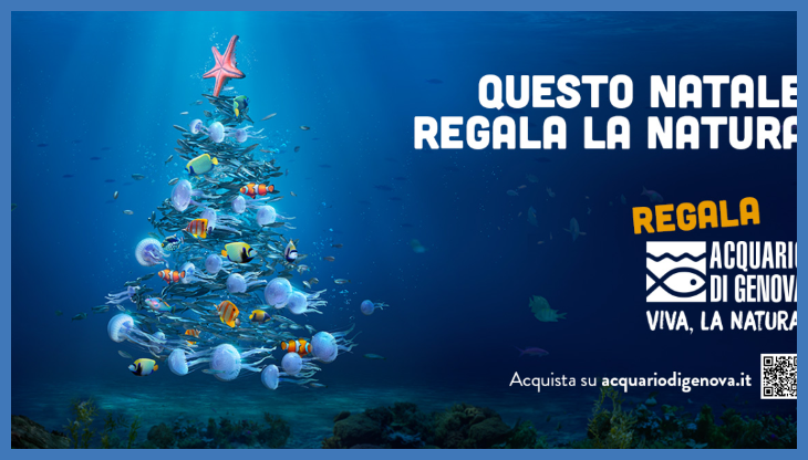 acquario genova natale.png
