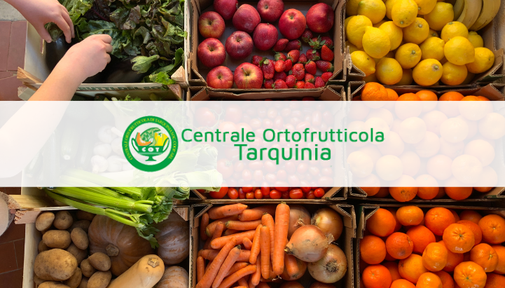 MINIATURA ARTICOLI (36).png