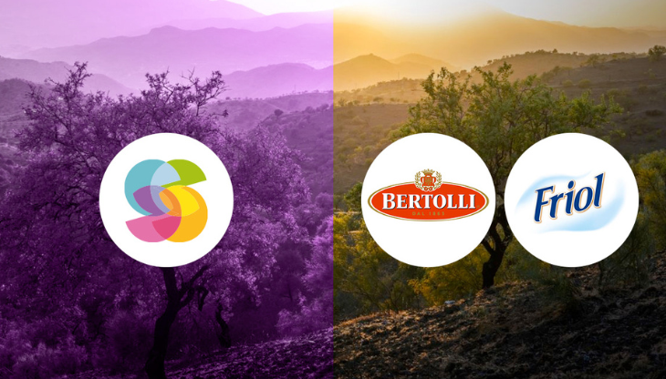 bertolli friol.png