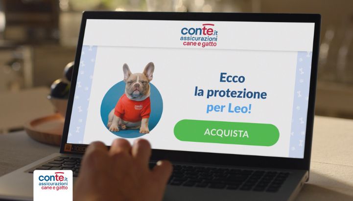 conte.it.jpg