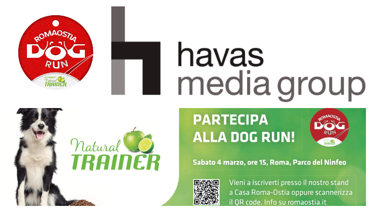 Dog Run by Natural Trainer.jpg