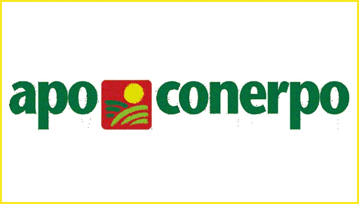 apo-conerpo.jpg