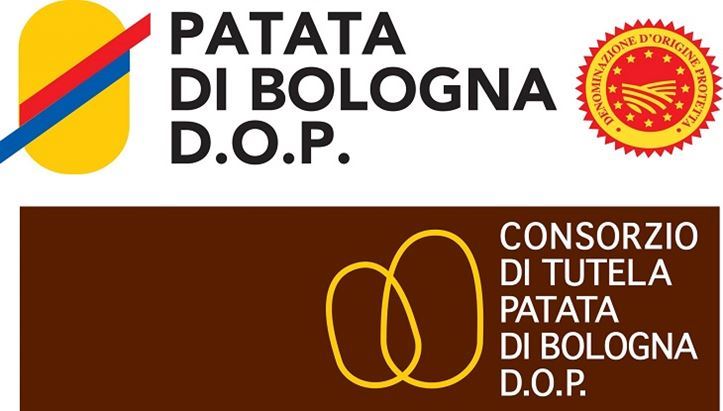 patata-di-bologna_682338.jpg