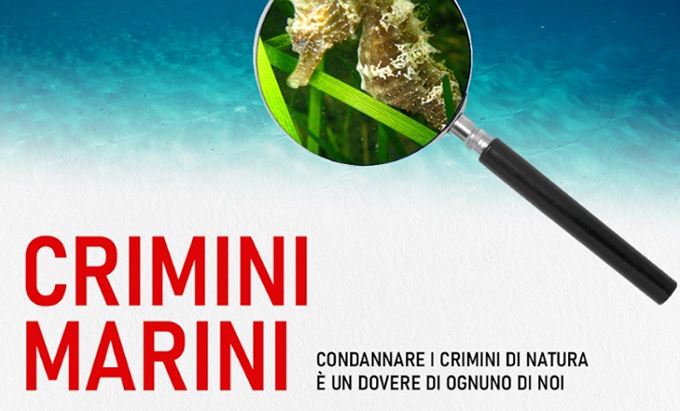 crimini-marini.jpg