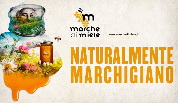 Marche-Miele.jpg