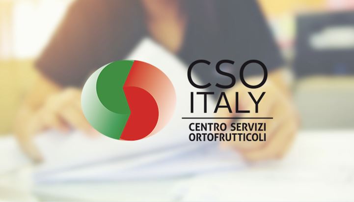 Logo-CSO-Italy.png