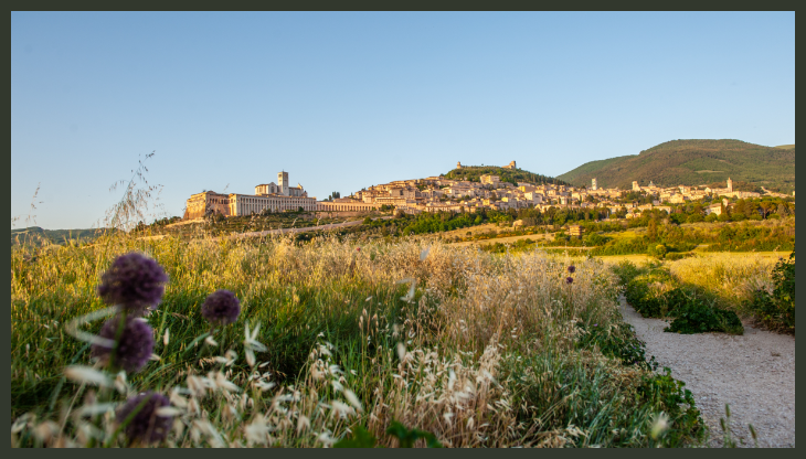assisi.png