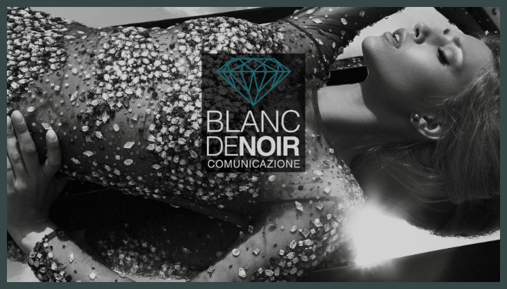 Blancdenoir home page.png