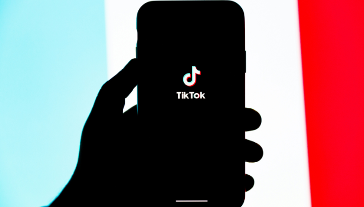 tiktok dsa.png