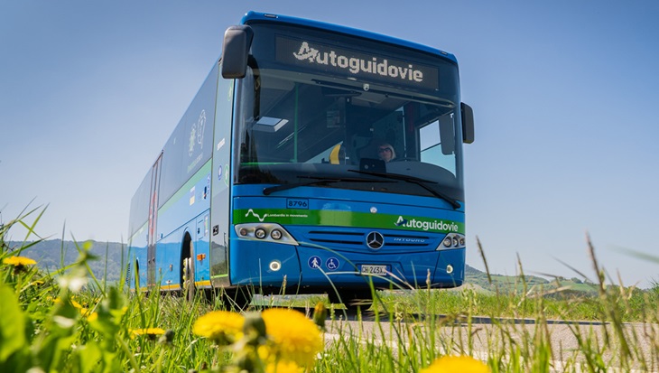 autoguidovie-mustard.jpg