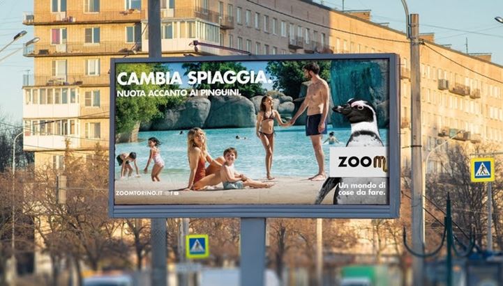 zoom-torino.jpg