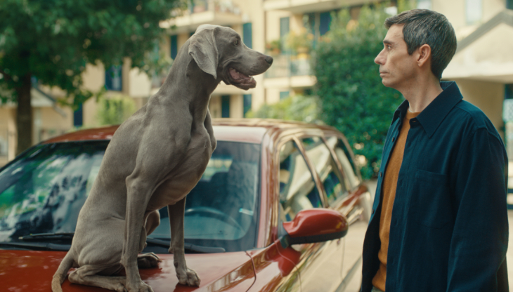 Un'immagine della nuova campagna Segugio.it firmata da Gibbo&Lori