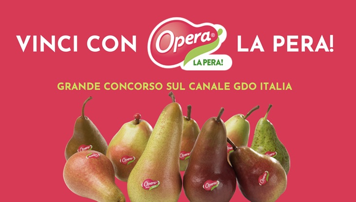 opera-concorsi.jpg