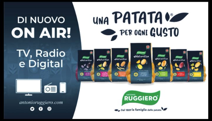 Ruggiero.png