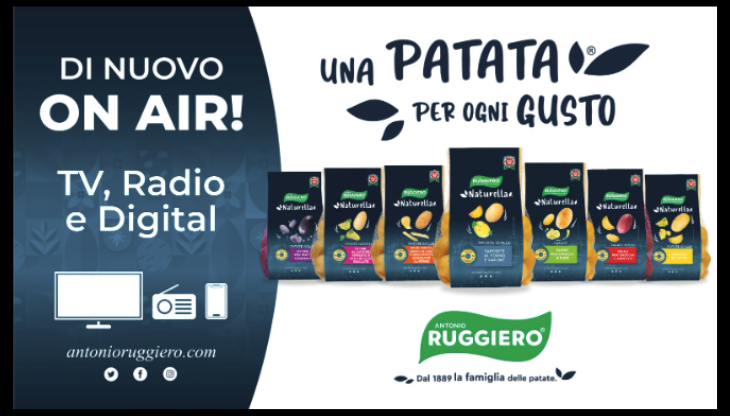 Ruggiero.png