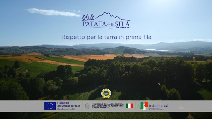 spot-patata-sila.jpg