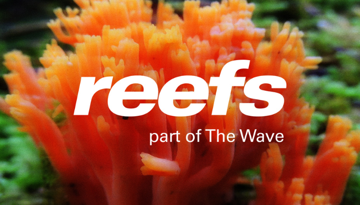 Reefs-The_Wave (1).png