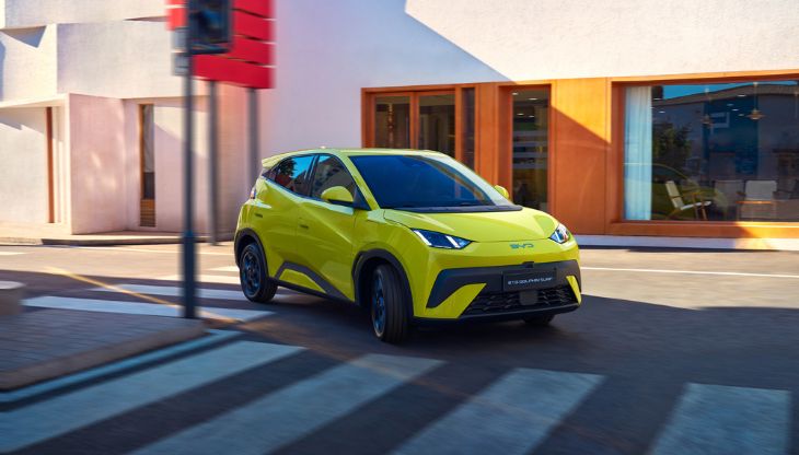 BYD_Dolphin Surf.jpg