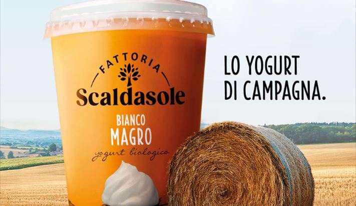 copertine(113).png