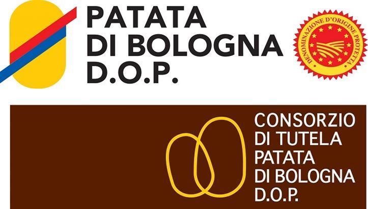 patata-di-bologna_682338_739140.jpg