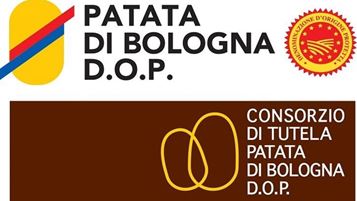 patata-di-bologna_682338_739140.jpg